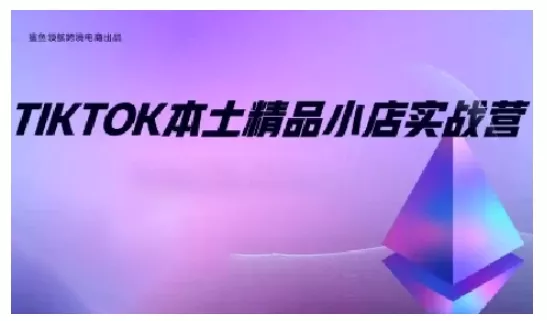 TikTok本土精品小店出海实战营，从入门到高阶，不止0-1!-山河网创