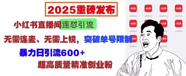 2025重磅发布：小红书直播间连怼引流，无需连麦、无需上镜，突破单号限制，暴力日引流600+-山河网创