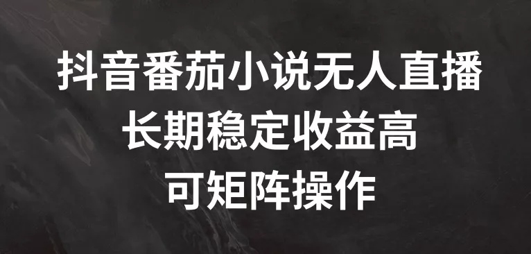抖音番茄小说无人直播，长期稳定收益高，可矩阵操作【揭秘】-山河网创