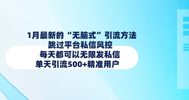 1月最新的无脑式引流方法，跳过平台私信风控，每天都可以无限发私信，单天引流500+精准用户-山河网创