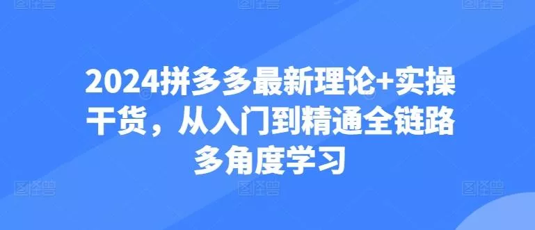 2024拼多多最新理论+实操干货，从入门到精通全链路多角度学习-山河网创