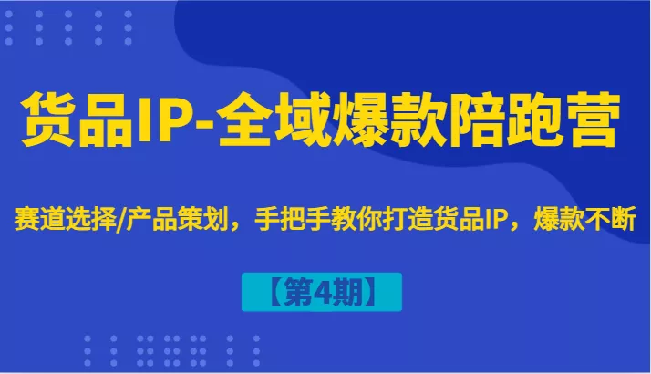 货品IP-全域爆款陪跑营【第4期】赛道选择/产品策划，手把手教你打造货品IP，爆款不断-山河网创