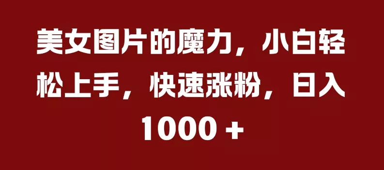 美女图片的魔力，小白轻松上手，快速涨粉，日入几张【揭秘】-山河网创
