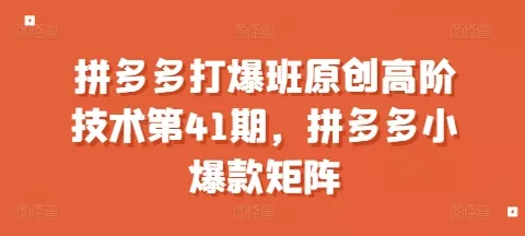 拼多多打爆班原创高阶技术第41期，拼多多小爆款矩阵-山河网创
