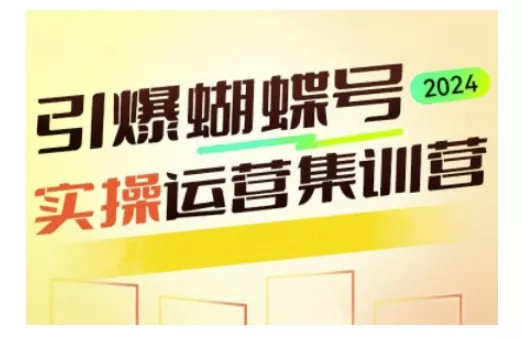引爆蝴蝶号实操运营，助力你深度掌握蝴蝶号运营，实现高效实操，开启流量变现之路-山河网创