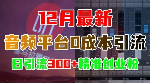 12月最新：音频平台0成本引流，日引流300+精准创业粉-山河网创