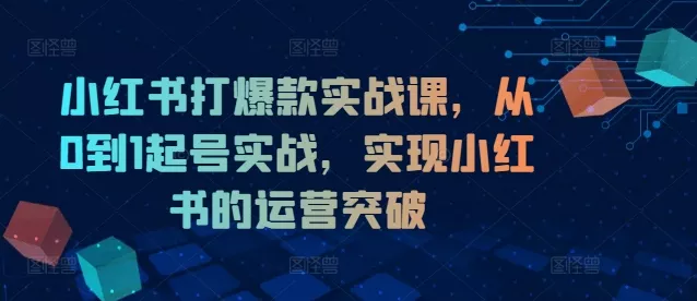 小红书打爆款实战课，从0到1起号实战，实现小红书的运营突破-山河网创