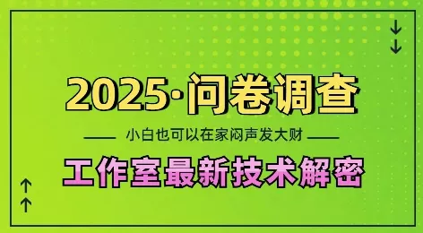 2025问卷调查最新工作室技术解密：一个人在家也可以闷声发大财，小白一天2张，可矩阵放大【揭秘】-山河网创