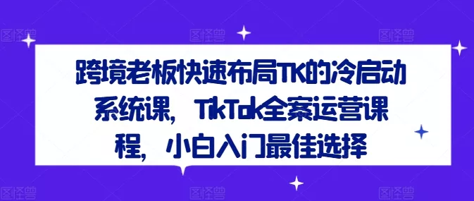 跨境老板快速布局TK的冷启动系统课，TikTok全案运营课程，小白入门最佳选择-山河网创