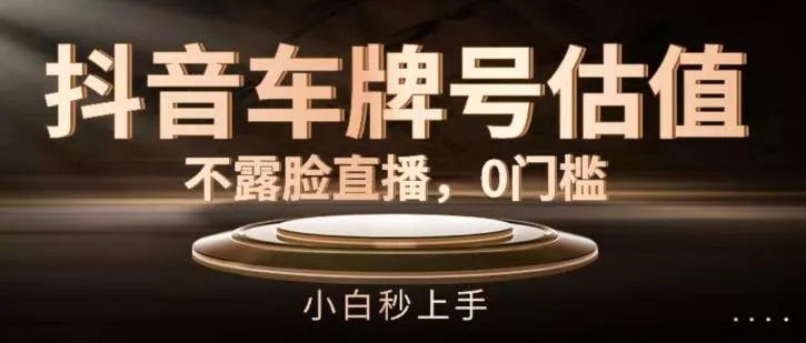 抖音车牌号估值，不露脸直播，0门槛，小白秒上手【揭秘】-山河网创