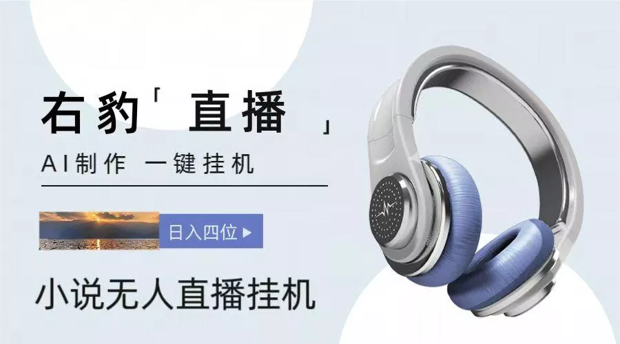 右豹小说无人直播挂机吸金项目，简单易行收益稳定， 月入1000+-山河网创