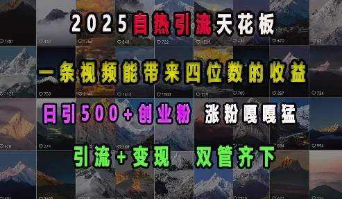 2025自热引流天花板，一条视频能带来四位数的收益，引流+变现双管齐下，日引500+创业粉，涨粉嘎嘎猛-山河网创