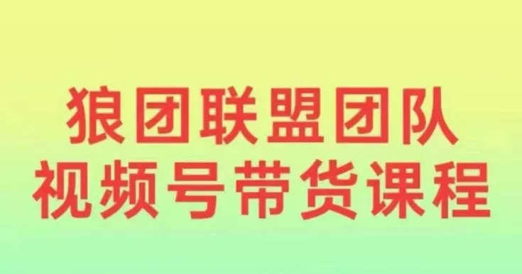 狼团联盟2024视频号带货，0基础小白快速入局视频号-山河网创