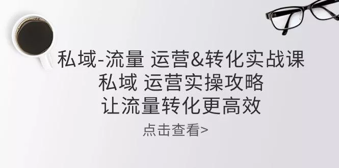 私域-流量 运营&转化实操课：私域 运营实操攻略 让流量转化更高效-山河网创