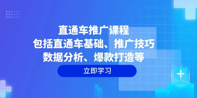 直通车推广课程：包括直通车基础、推广技巧、数据分析、爆款打造等-山河网创