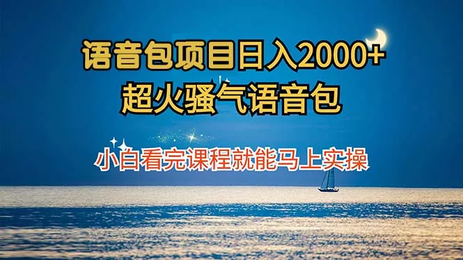 语音包项目 日入2000+ 超火骚气语音包小白看完课程就能马上实操-山河网创