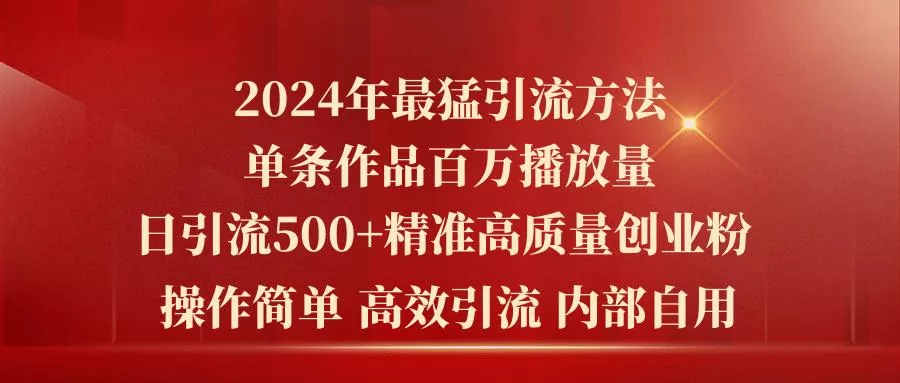 2024年最猛暴力引流方法，单条作品百万播放 单日引流500+高质量精准创业粉-山河网创