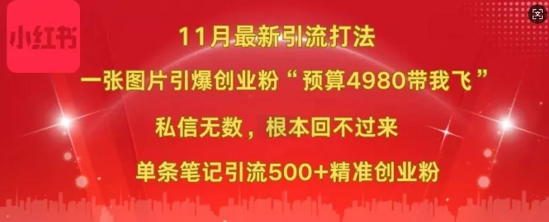 小红书11月最新图片打粉，一张图片引爆创业粉，“预算4980带我飞”，单条引流500+精准创业粉-山河网创