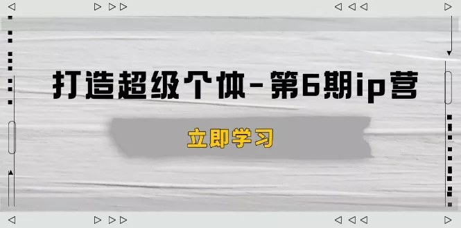 打造 超级个体-第6期ip营：商业认知,产品设计,成交演练,解决知识变现难题-山河网创