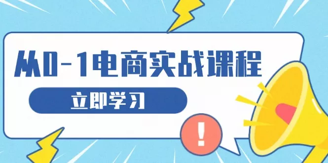 从零做电商实战课程，教你如何获取访客、选品布局，搭建基础运营团队-山河网创