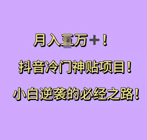 抖音冷门神贴项目，小白逆袭的必经之路，月入过W【揭秘】-山河网创