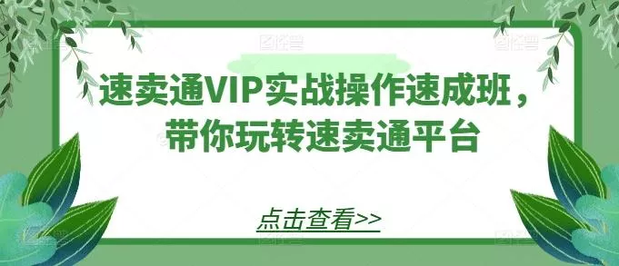 速卖通VIP实战操作速成班，带你玩转速卖通平台-山河网创