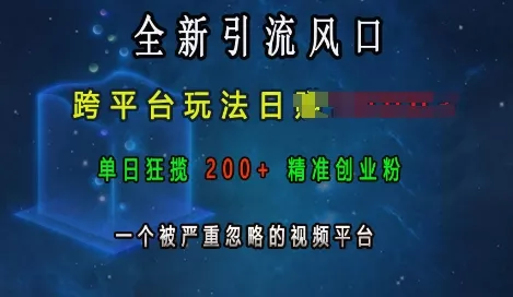 全新引流风口，跨平台玩法日入上k，单日狂揽200+精准创业粉，一个被严重忽略的视频平台-山河网创