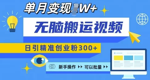 无脑搬运视频号可批量复制，新手即可操作，日引精准创业粉300+，月变现过W 【揭秘】-山河网创