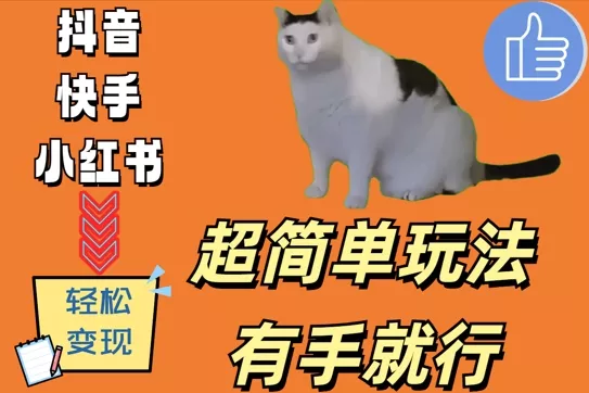 超简单玩法，有手就行，靠猫咪视频日入500+【揭秘】-山河网创