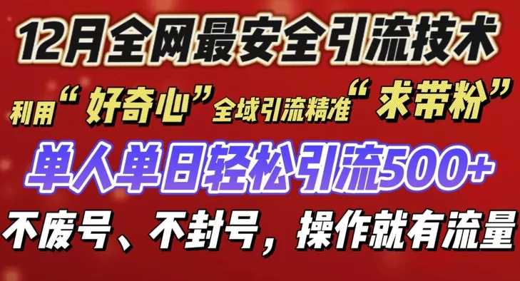 12 月份全网最安全引流创业粉技术来袭，不封号不废号，有操作就有流量【揭秘】-山河网创