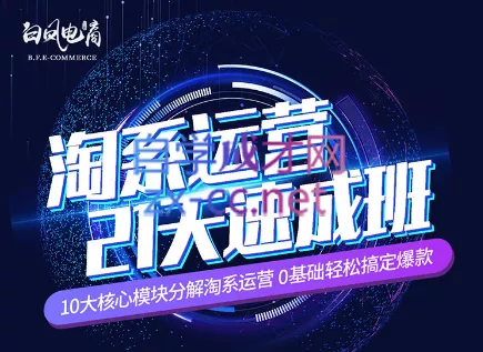 淘系运营21天速成班(更新24年6月)-山河网创