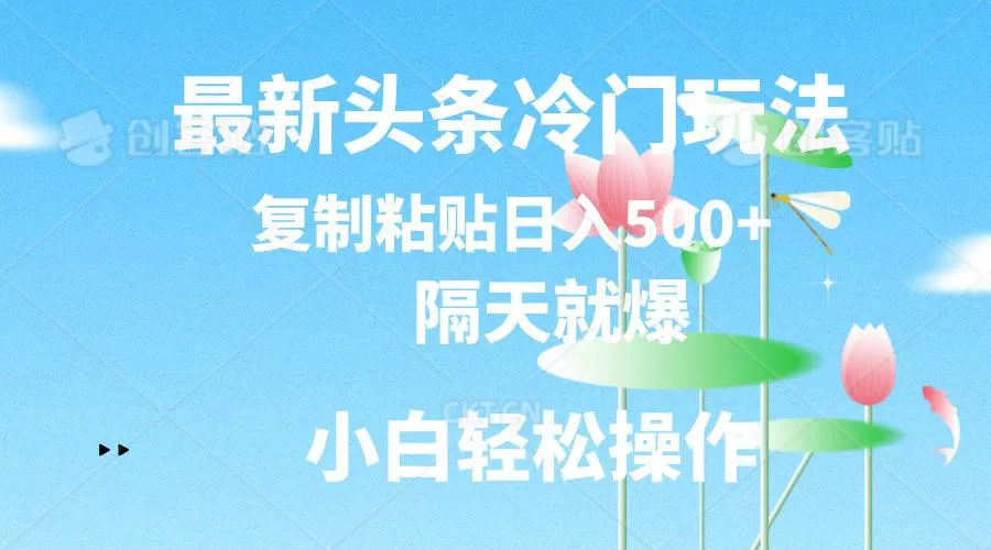 最新头条冷门玩法，隔天就爆，复制粘贴日入500+-山河网创