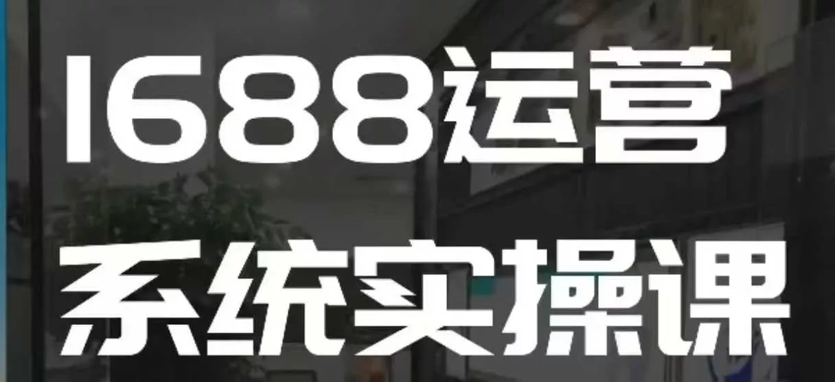 1688高阶运营系统实操课，快速掌握1688店铺运营的核心玩法-山河网创