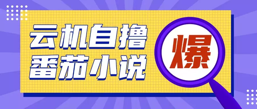 首发云手机自撸小说玩法，10块钱成本可撸200+收益操作简单【揭秘】-山河网创