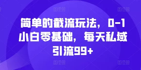 简单的截流玩法，0-1小白零基础，每天私域引流99+【揭秘】-山河网创