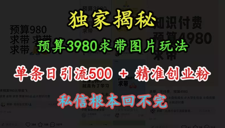 预算3980求带 图片玩法，单条日引流500+精准创业粉，私信根本回不完-山河网创