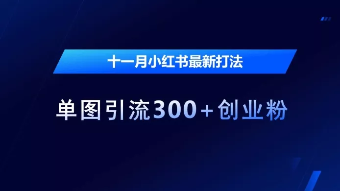 十一月小红书最新打法，单图引流300+创业粉【揭秘】-山河网创