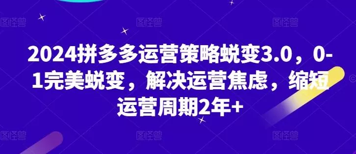 2024拼多多运营策略蜕变3.0，0-1完美蜕变，解决运营焦虑，缩短运营周期2年+-山河网创