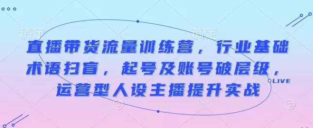 直播带货流量训练营，行业基础术语扫盲，起号及账号破层级，运营型人设主播提升实战-山河网创