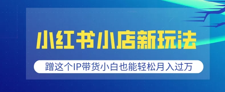 小红书小店新玩法，蹭这个IP带货，小白也能轻松月入过W【揭秘】-山河网创