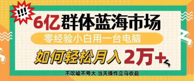 6亿群体蓝海市场，零经验小白用一台电脑，如何轻松月入过w【揭秘】-山河网创