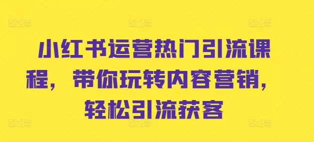 小红书运营热门引流课程，带你玩转内容营销，轻松引流获客-山河网创