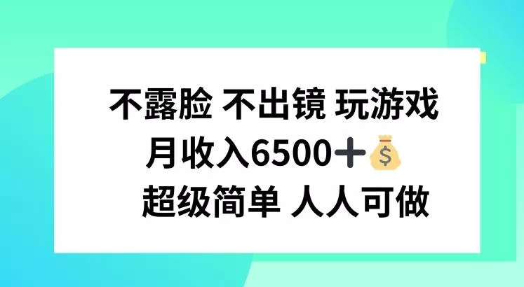 不露脸 不出境 玩游戏，月入6500 超级简单 人人可做【揭秘】-山河网创