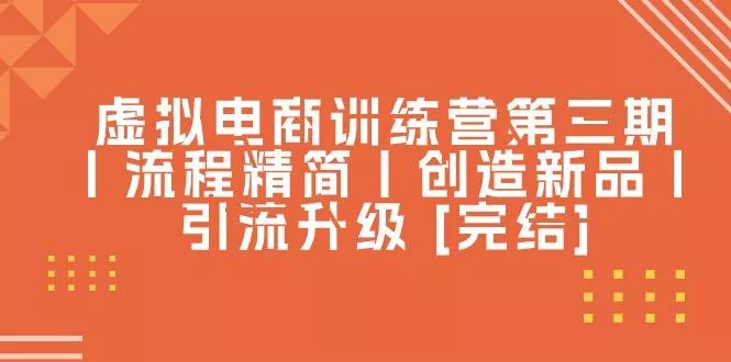虚拟电商训练营第三期丨流程精简丨创造新品丨引流升级 [完结]-山河网创