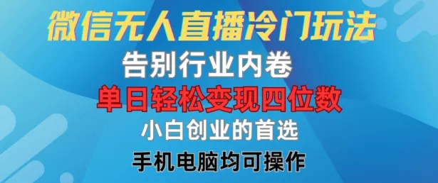 微信无人直播冷门玩法，告别行业内卷，单日轻松变现四位数，小白的创业首选【揭秘】-山河网创