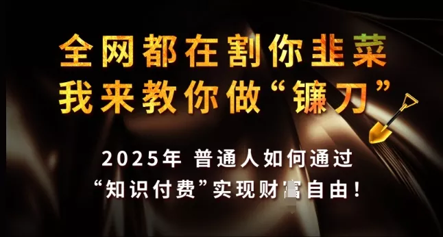 全网都在割你韭菜，我来教你做镰刀，2025年普通人如何通过 知识付费 实现财F自由【揭秘】-山河网创