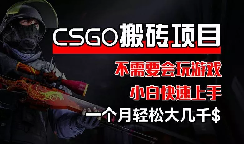 CSGO 装备搬砖项目，操作简单，不需要会玩游戏，小白也能快速上手，一个月轻松大几千【揭秘】-山河网创