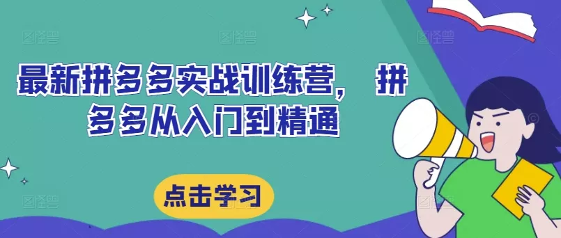 最新拼多多实战训练营， 拼多多从入门到精通-山河网创