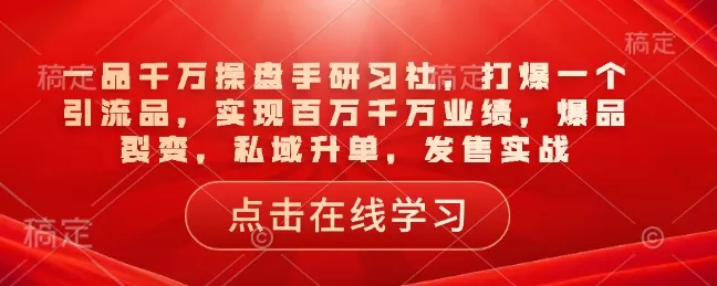 一品千万操盘手研习社，打爆一个引流品，实现百万千万业绩，爆品裂变，私域升单，发售实战-山河网创
