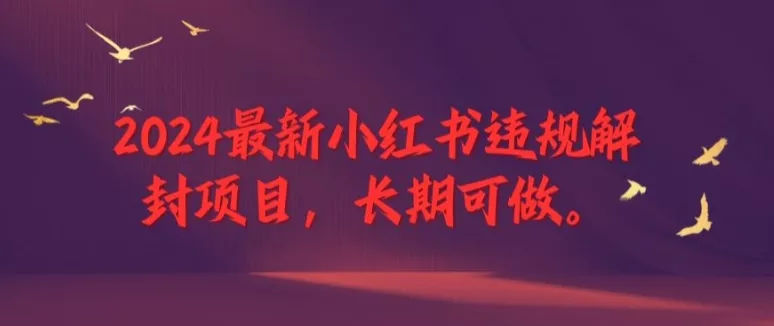 2024最新小红书违规解封项目，长期可做，一个可以做到退休的项目【揭秘】-山河网创